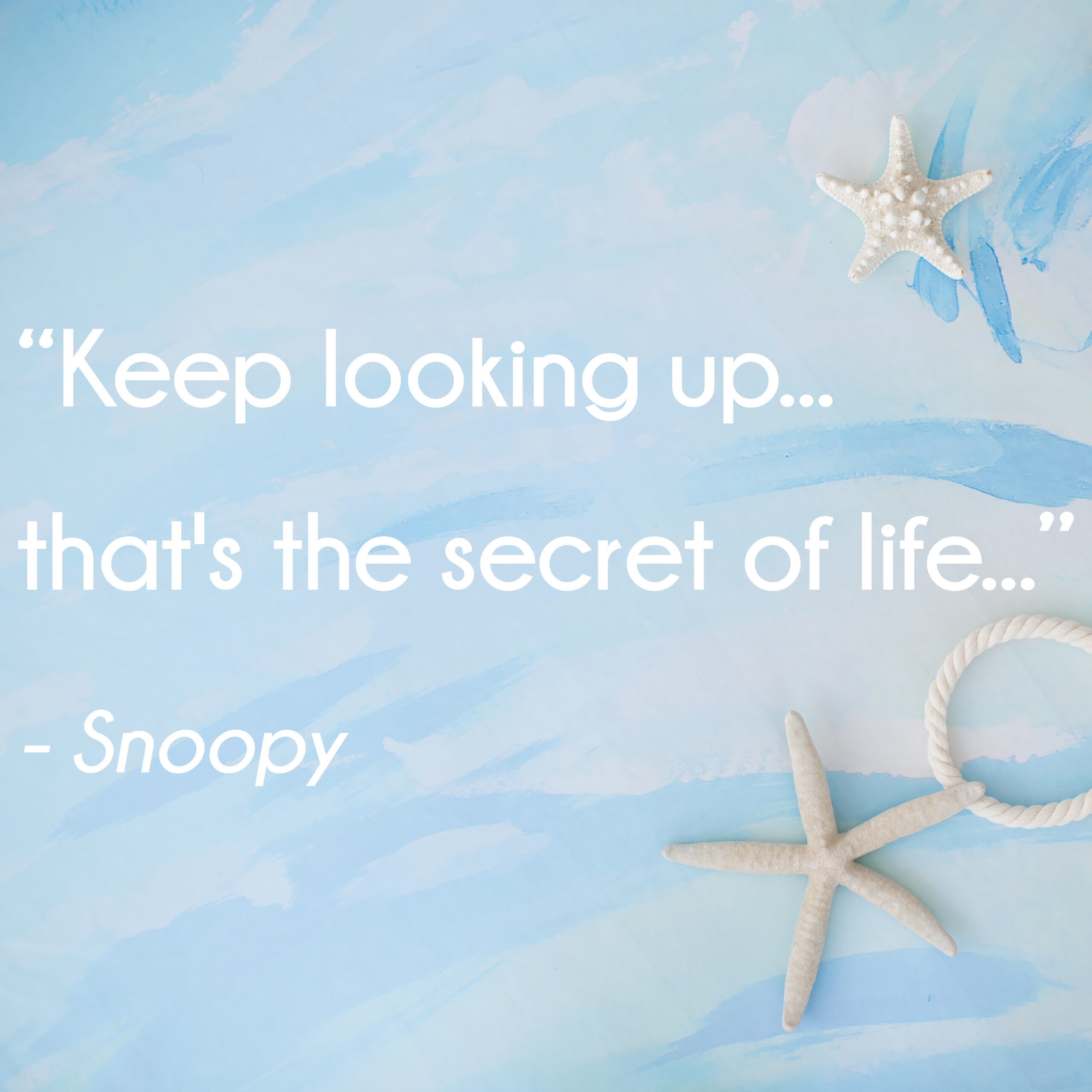 Keep looking up...that's the secret of life...