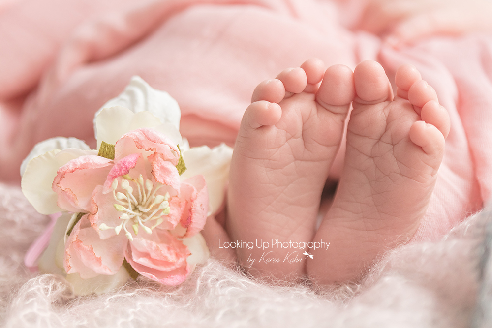 Adorable baby feet and pink flower sweetly posed for newborn session with soft pink wrap and lace for baby girl portrait