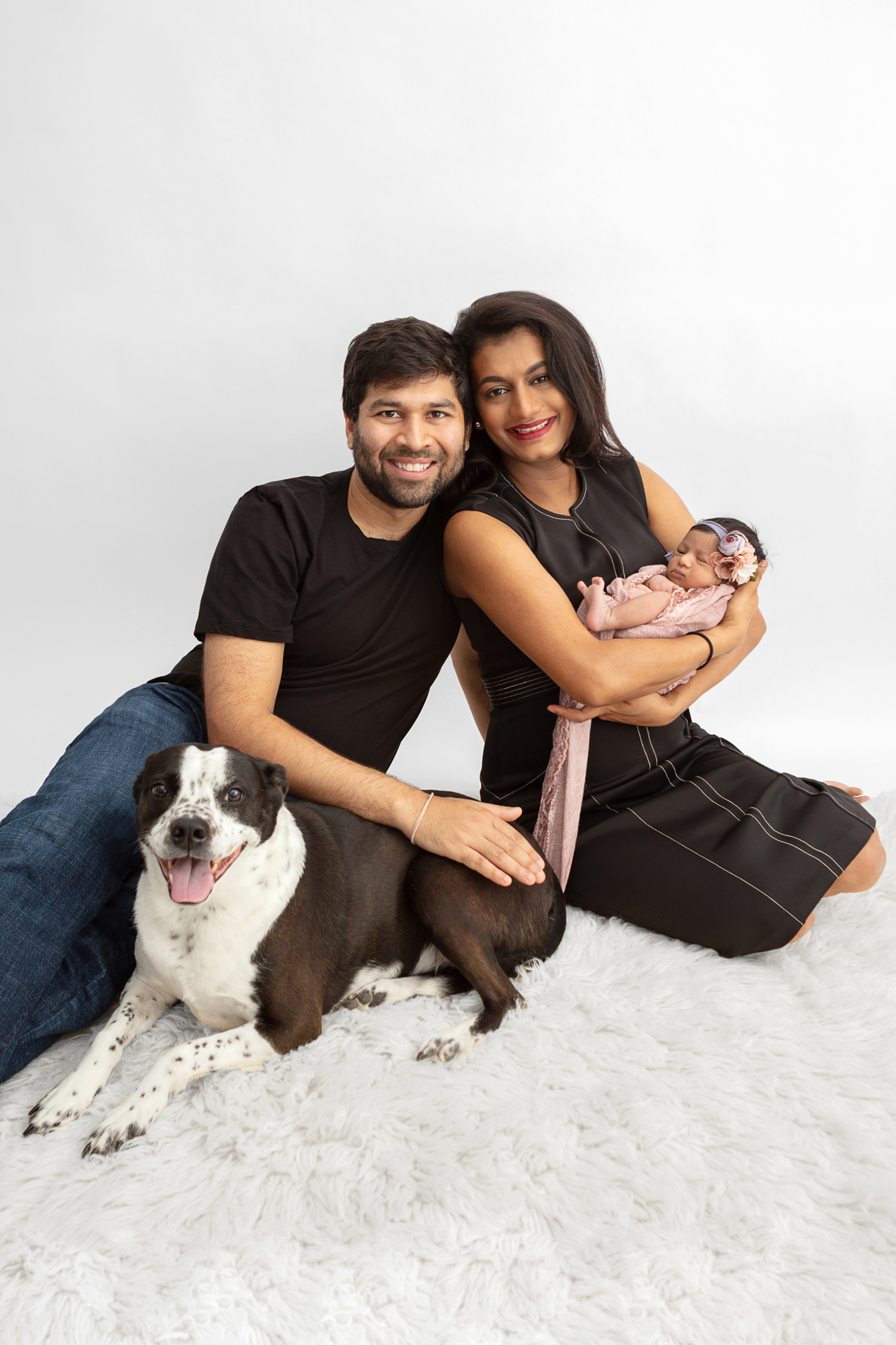 new family of four in a studio newborn family session including their Boston Terrier cattle dog mix