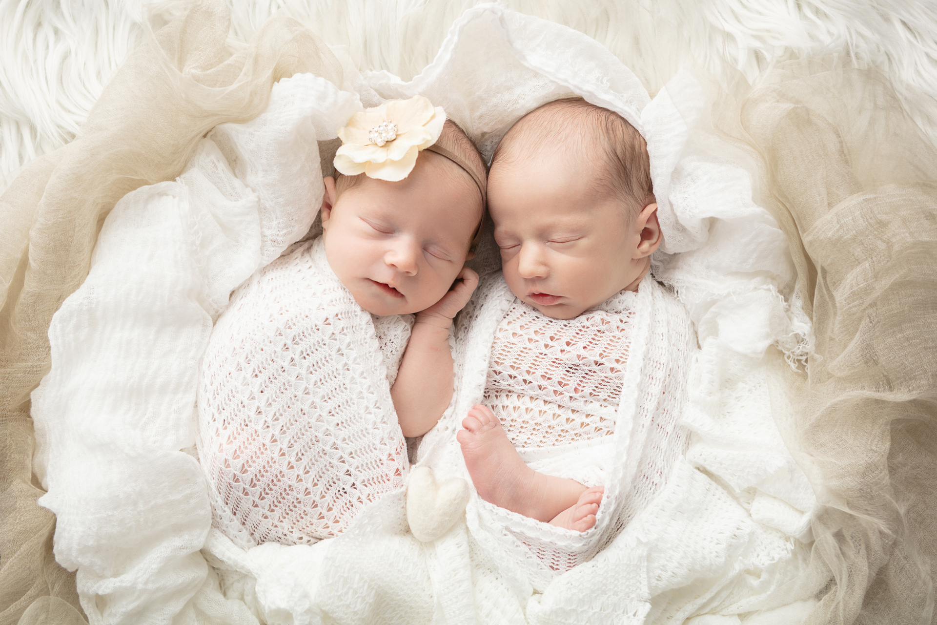 beautiful, neutral twin newborn session; CT portrait photography