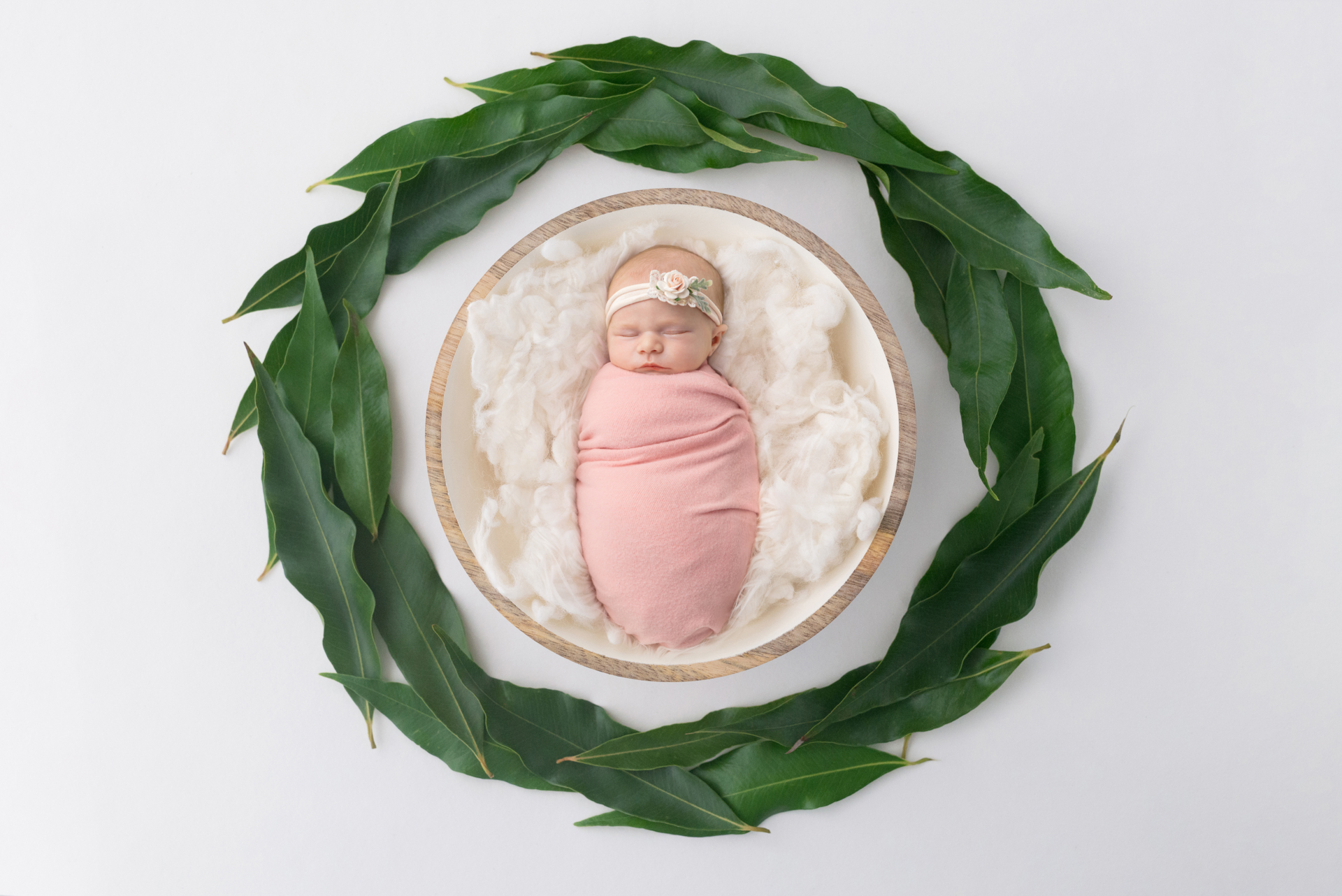 1028 Looking Up Photography Gumleaf Wreath