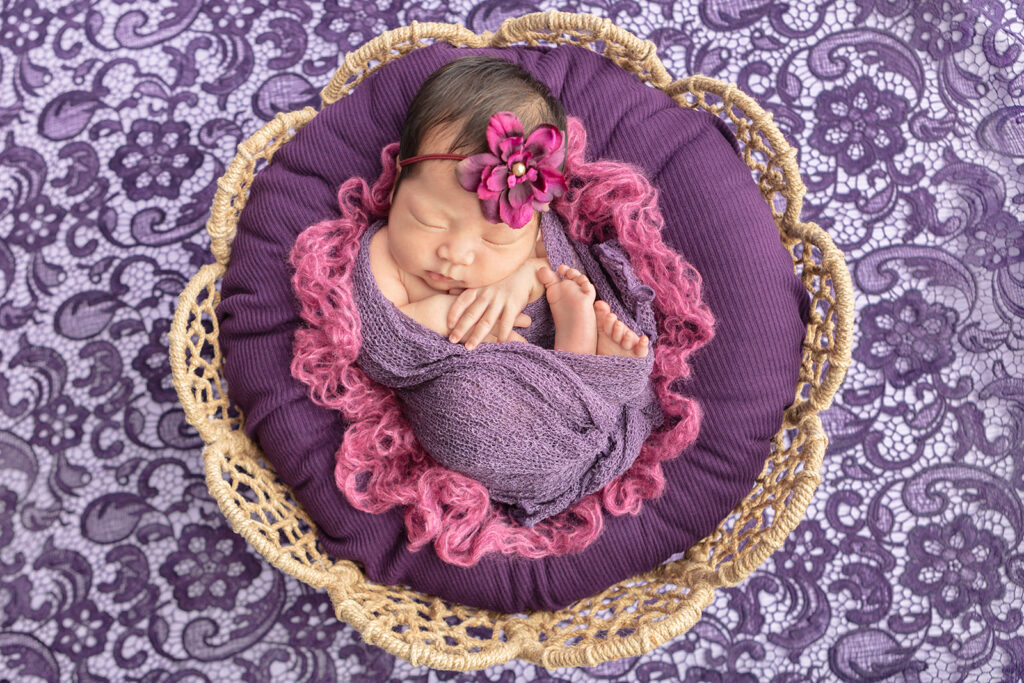 A newborn baby girl is curled in a ball with her hands and feet all touching. She is lightly swaddled in an open-knit, dusty purple swaddle, and is framed by loose dusty pink yarn. She lies on a plum colored cushion in a rattan basket shaped like a flower. The newborn baby girl is photographed against a purple lace backdrop.