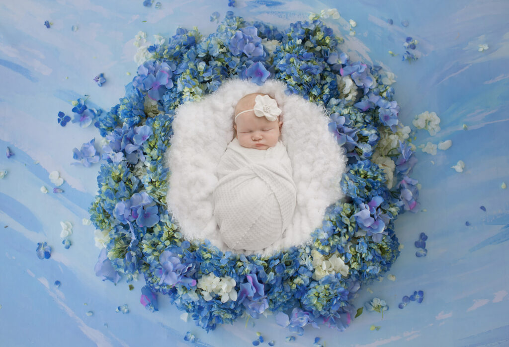 A newborn baby girl is photographed swaddled in white, lying on what looks like a bed of cotton. She is surrounded by gorgeous hydrangea blooms in white and indigo.